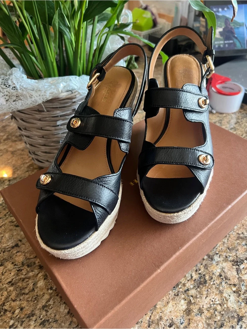 Coach Electra espadrille high wedge sandals